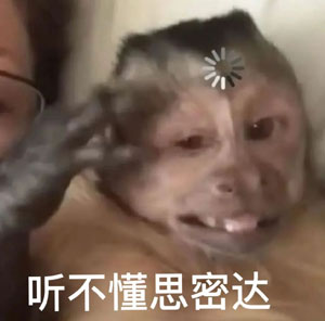 《抖音》听不懂思密达梗的意思介绍