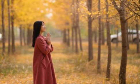 三年成全在线观看免费高清电视剧：轻松享受生活的乐趣