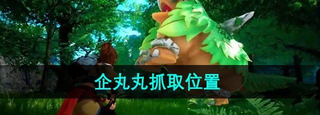 《幻兽帕鲁》企丸丸抓取位置